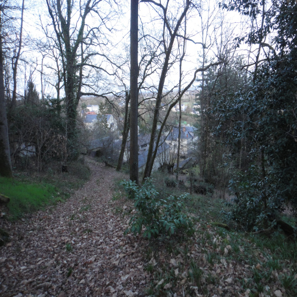 Offres de vente Propriete Saumur 49400
