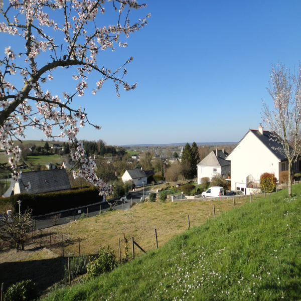 Offres de vente Terrain Montsoreau 49730